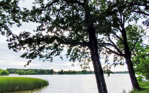 Trebon 1: Ressources En Eau, L'Eau, Plan D'Eau, Vert, La Nature, Environnement Naturel, Feuille, Branche, Paysage Naturel, Végétation
