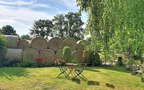 Chrischi: Vert, Herbe, Arbuste, Jardin, Pelouse, Printemps, Ombre, Prairie