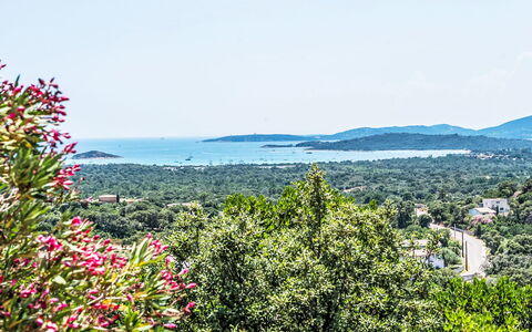 Sainte Lucie Porto Vecchio 650: Balcon, Tache De Bois, Plante D'Appartement, Mobilier De Jardin, Pot De Fleur