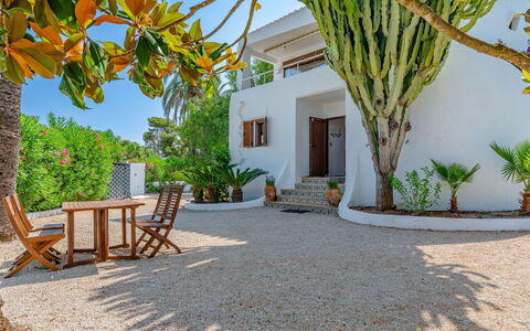 Can Nura: Suppression Des Plantes Ligneuses, Biens, Ombre, Aménagement Paysager, Jardin, Tropiques, Recours, Hacienda, Villa