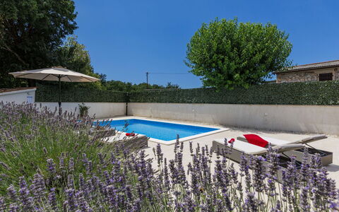 Trošti: Arbuste, Jardin, Piscine, Aménagement Paysager, Pot De Fleur, Arrière-Cour, Cour, Mobilier De Jardin, Cour