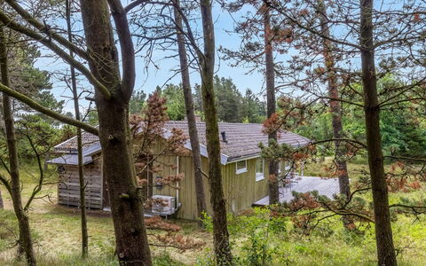 Iivo - 3.5Km from the Sea: Arbre, Environnement Naturel, Bois, Branche, Végétation, Maison, Chalet, Arbuste, Domicile, Communauté Des Plantes