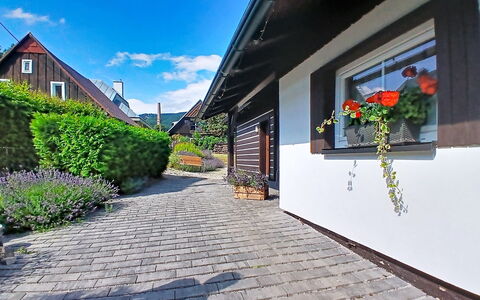 Cerny Dul 400: Maison, Arbuste, Architecture, Domicile, Chalet, Couverture De Sol, Jardin, Dalle, Porte