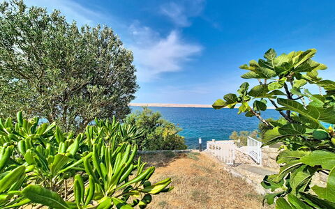 Cvita: Bleu, Piscine, Composite, Ombre, Recours, Biens, Hacienda, Villa, Centre De Loisirs