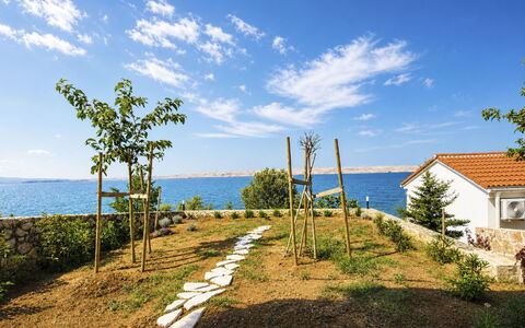 Cvita: Bleu, Piscine, Composite, Ombre, Recours, Biens, Hacienda, Villa, Centre De Loisirs