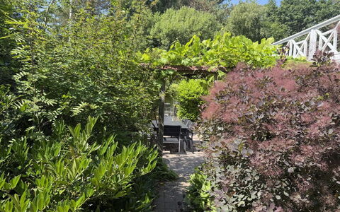 Lonneke - from the Sea: Arbuste, Communauté Des Plantes, Jardin, Suppression Des Plantes Ligneuses, Aménagement Paysager, Arrière-Cour, Jardin Botanique, À Feuilles Persistantes, Mobilier De Jardin