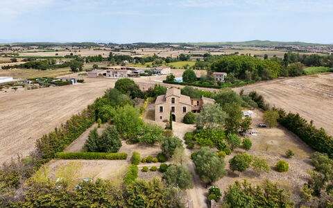 Mas Nualart: Herbe, Arbre, Paysage, Plaine, Zone Rurale, Lot Terre, Prairie, Champ