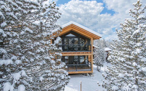 02 Nth050 18A Sup Chalet mit Sauna und Hot Tub 2 e: Bois, Neige, L'Hiver, Gelé, Domicile, Chalet, Pente, Cabane En Rondins, Mélèze, Lumber
