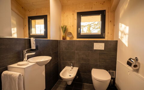 02 Nth056 18G Sup Chalet mit Sauna und Hot Tub 2 e: Mur, Sol, Bois, Luminaire Plomberie, Salle De Bains, Sol, Design Intérieur, Évier, Toilette, Siège De Toilette