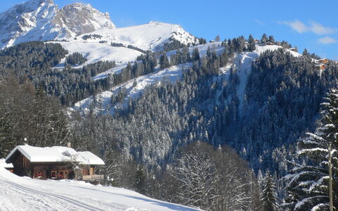 Chalet 1899: Neige, Montagnes Relief, Montagne, Arbre, L'Hiver, Chaîne De Montagnes, Montagnes, Colline, Station De Montagne, Paysage