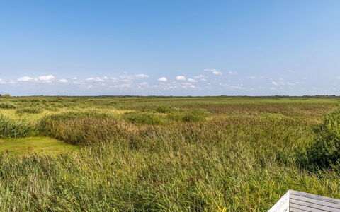 Scarlet - 500M from the Sea: Ciel, Herbe, Vert, Prairie, Environnement Naturel, Végétation, Écorégion, Paysage Naturel, Plaine, Prairie