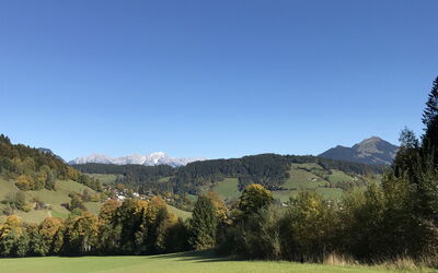 Auffach 602