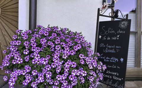 Des Kaisers Kleines Reich: Fleur, Pot De Fleur, Rose, Couverture De Sol, Plante À Fleurs, Jardin, Plante D'Appartement, Floristique, Plante Herbacée