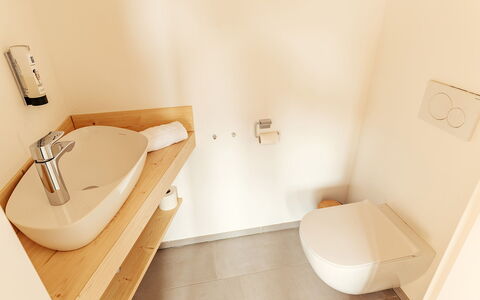 Niederwölz 602: Sol, Sol, Mur, Luminaire Plomberie, Salle De Bains, Bois, Design Intérieur, Lavabo, Toilette, Plomberie