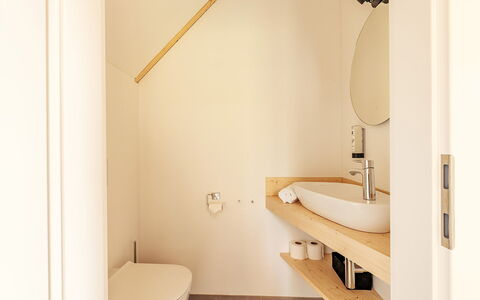 Niederwölz 602: Sol, Mur, Design Intérieur, Salle De Bains, Luminaire Plomberie, Sol, Bois, Plafond, Robinet, Plomberie