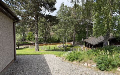 Glencarr: Arbre, Arbuste, Maison, Domicile, Chalet, Jardin, Lot Terre, Couverture De Sol, Arrière-Cour