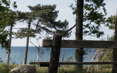 Bine - 200M from the Sea