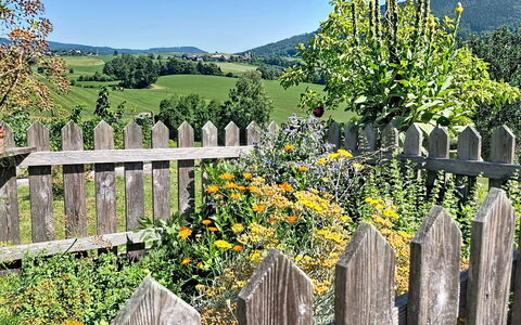 Roiderhof: Bleu, Balcon, Balustrade, Appartement, Clôture, Mer, Recours, Condominium, Piscine, Hôtel