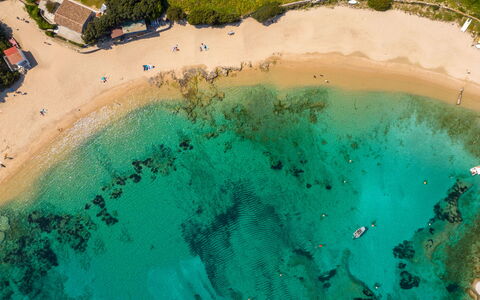 Vacanze Levante: Plan D'Eau, Plage, Côte, Cotiers Et Relief Océaniques, Mer, Rive, Océan, Tropiques, Crique, Le Sable