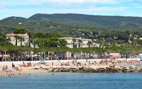 Les Terrasses des Hautsdefonsainte: Côte, Cotiers Et Relief Océaniques, Plage, Rive, Mer, Des Loisirs, Loisir, Vacances, Océan