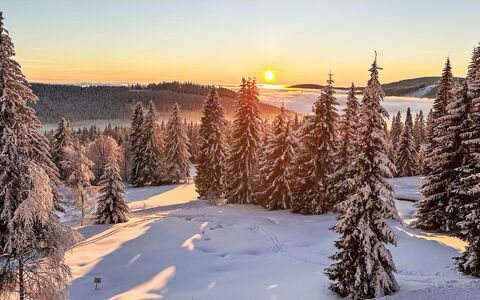 Rebelka: Ciel, L'Hiver, Neige, Arbre, Branche, La Nature, Paysage Naturel, Lever Du Soleil, Région Sauvage, Le Coucher Du Soleil