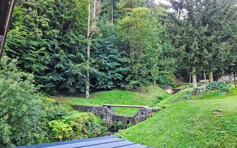 Sára: Herbe, Vert, Feuille, Végétation, Arbuste, Jardin, Couverture De Sol, Aménagement Paysager, Pelouse