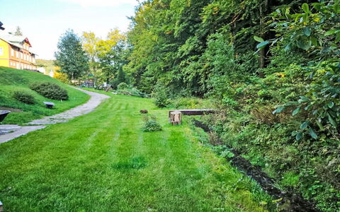 Sára: Herbe, Vert, La Nature, Arbuste, Paysage, Jardin, Zone Rurale, Lot Terre, Couverture De Sol