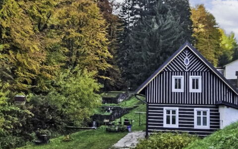 Sára: Vert, Arbre, Herbe, Feuille, Maison, Arbuste, Domicile, Chalet, Couverture De Sol, Printemps