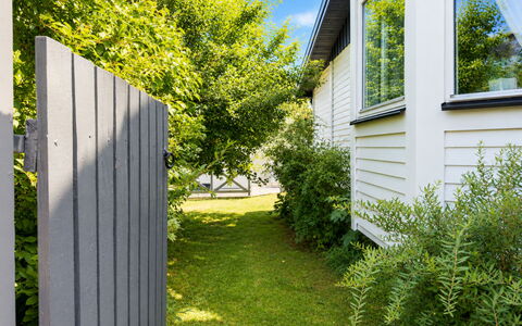 Lyckan: Vert, Arbuste, Siding, Jardin, Arrière-Cour, Couverture De Sol, Clôture, Printemps, Ombre, Accueil Escrime