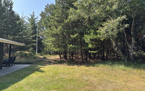 Hardina - 1Km from the Sea: Arbre, Herbe, Feuille, Plaine, Lot Terre, Tronc, Pelouse, Prairie, Ombre, Des Bois