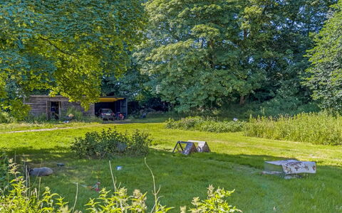 Branderup J 601: Herbe, Arbre, Environnement Naturel, La Nature, Feuille, Végétation, Prairie, Arbuste, Jardin