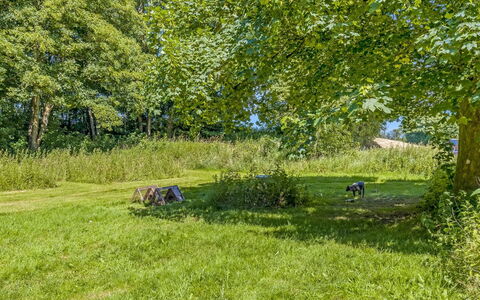 Branderup J 601: Bleu, Arbre, Herbe, Feuille, Vert, Environnement Naturel, Prairie, Arbuste, Lot Terre, Plaine