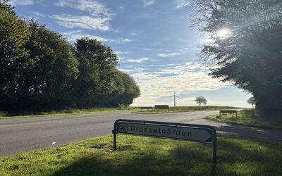Thilo - 39Km from the Sea
