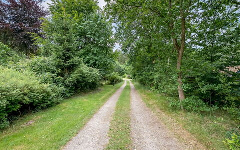 Ry 601: Arbre, Feuille, Vert, Herbe, Végétation, Route, Paysage Naturel, Arbuste, Piste, Rue