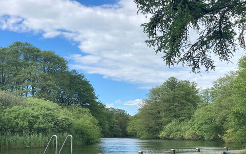 Ry 601: L'Eau, Arbre, Ressources En Eau, Plan D'Eau, La Nature, Environnement Naturel, Paysage Naturel, Cours D'Eau, Branche, Voie Navigable