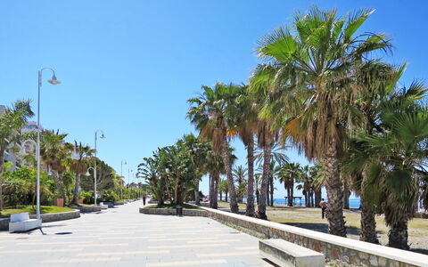 Portichuelo: Arbre, Feuille, Tronc, Suppression Des Plantes Ligneuses, Trottoir, Passerelle, Ombre, Éclairage Public, Tropiques