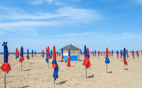 Les Glaieuls: Bleu, Plage, Mer, Loisir, Le Sable, Ombre, Océan, Vacances