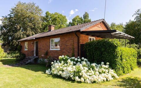 Villa Fröseke: Herbe, Maison, Arbuste, Toit, Chalet, Jardin, Domicile, Lot Terre, Pelouse