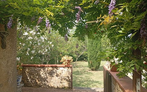 Podere Dolce Sonno e Sonnellino: Arbuste, Jardin, Printemps, Couverture De Sol, Ombre, Cour, Arrière-Cour, Aménagement Paysager, Structure En Plein Air, Pergola