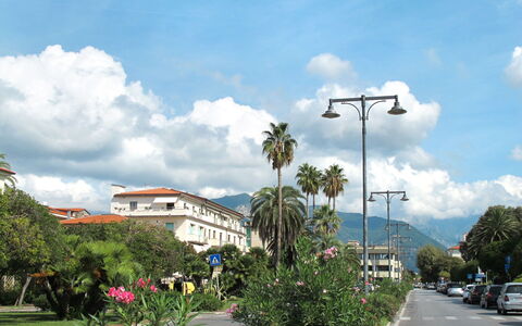 Marina di Massa 651: Ciel, Arbre, Nuage, Rue, Éclairage Public, Cumulus