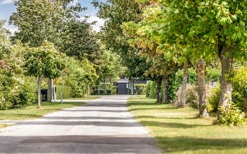 Ulli - 350M from the Sea: Arbre, Feuille, Vert, Branche, Surface De La Route, Arbuste, Paysage, Printemps, Rue, Jardin