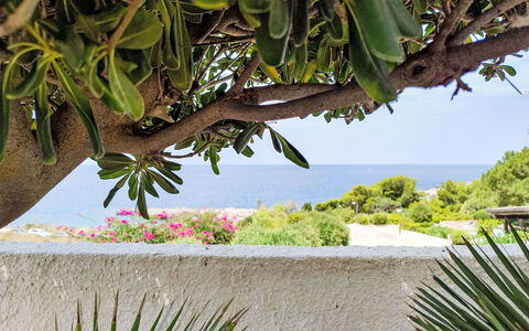 Cala Isulidda: Mer, Océan, Côte, Tropiques, Plage, Caraïbes