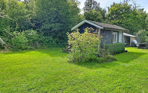 Lötstugan: Herbe, Arbuste, Jardin, Pelouse, Prairie, Chalet, Lot Terre, Couverture De Sol
