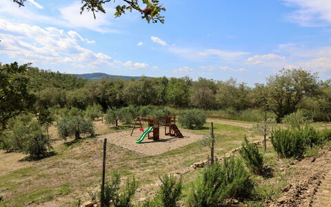 La Calcinaia Country House, Bucine: Arbre, Végétation, Paysage, Communauté Des Plantes, Zone Rurale, Lot Terre, Plaine, Sol, Formations Arbustives, Pâturage