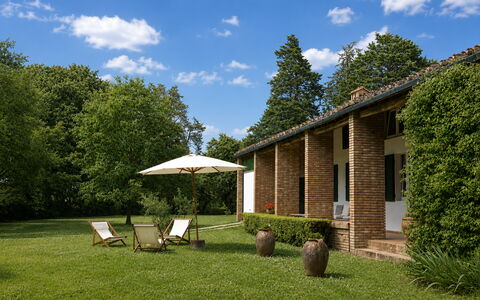 Casa Mancini, Holiday Villa, San Galgano: Herbe, Arbuste, Domicile, Maison, Jardin, Pelouse, Chalet, Lot Terre, Biens, Ferme
