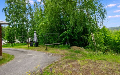 Heinävesi Homes D5: Herbe, Arbre, Vert, Végétation, Arbuste, Lot Terre, Zone Rurale, Printemps, Pelouse, Piste