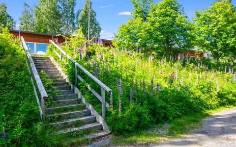 Heinävesi Homes D7: Vert, Végétation, Arbuste, Communauté Des Plantes, Jardin, Printemps, Wildflower, Aménagement Paysager, Jardin Botanique, Passerelle