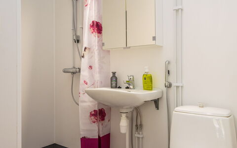 Heinävesi Homes D8: Salle De Bains, Luminaire Plomberie, Lavabo, Design Intérieur, Sol, Évier, Sol, Robinet, Toilette, Plomberie