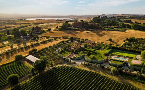 Poderina dei Poggi 12: Paysage, Lot Terre, Plaine, Plantation, Zone Rurale, Champ, Jardin, Agriculture, Vue Du Ciel, Biens