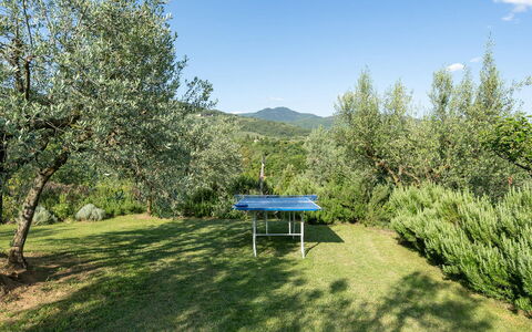 Buca delle Fate 8: Arbre, Station De Montagne, Prairie, Pâturage, À Feuilles Persistantes, Crête, Plantation, Famille Pine